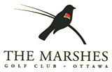 The Marshes