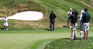 Treetops Shootout