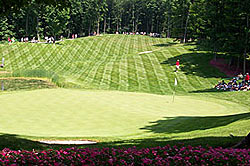 Treetops - Looking back over the sixth green