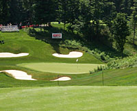 Treetops - 8th Green