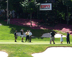 Treetops Shootout