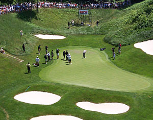 Treetops Shootout