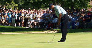 Tiger Woods