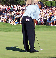 Tiger Woods